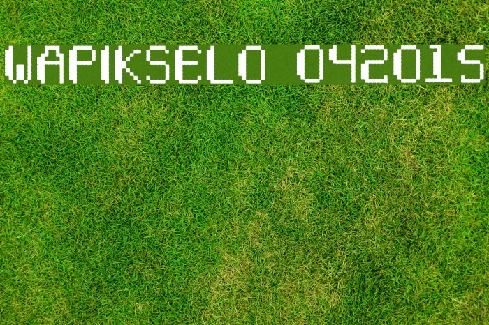 Wapikselo 042015 Font examples
