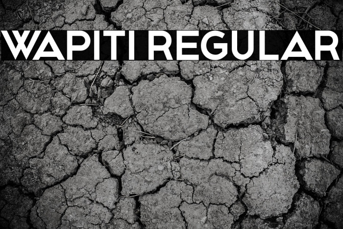 Wapiti Regular Example 1