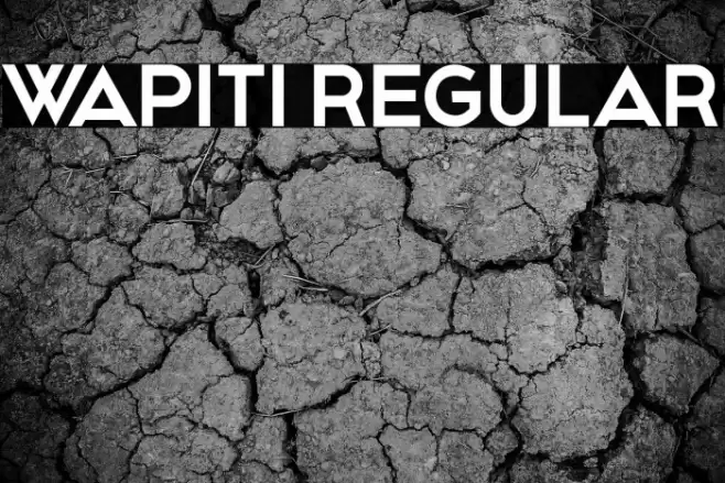 Wapiti Regular Font examples