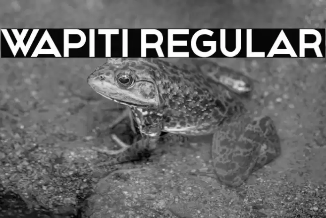 Wapiti Regular Font examples