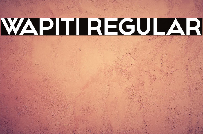 Wapiti Regular Example 3