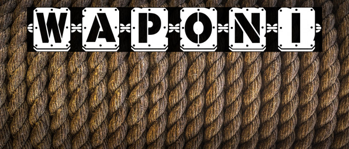 Waponi Example 2