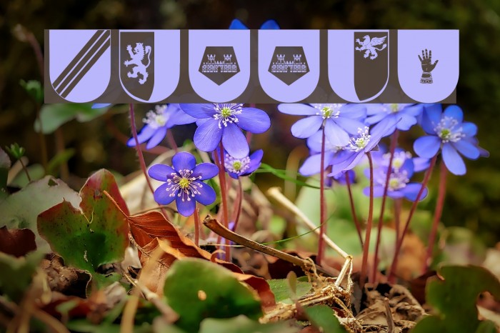 Wappen Font examples
