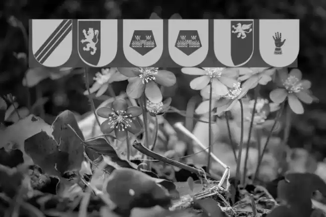 Wappen Font examples