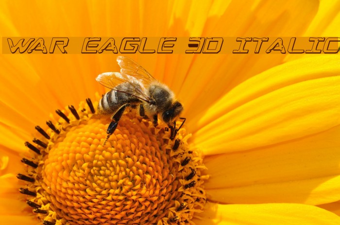 War Eagle 3D Italic Font examples