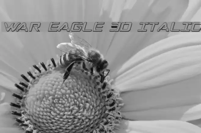 War Eagle 3D Italic Font examples