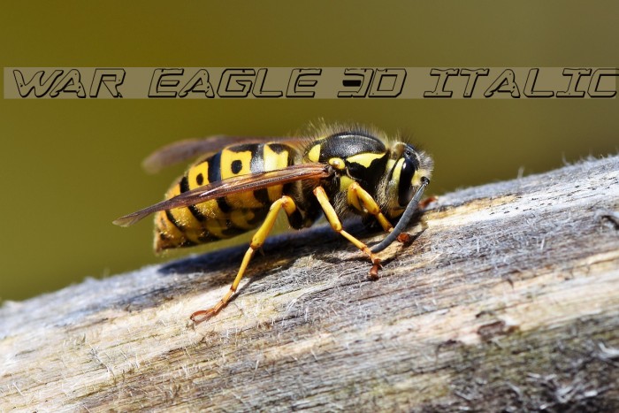 War Eagle 3D Italic Font examples
