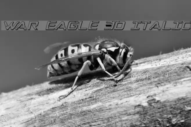 War Eagle 3D Italic Font examples