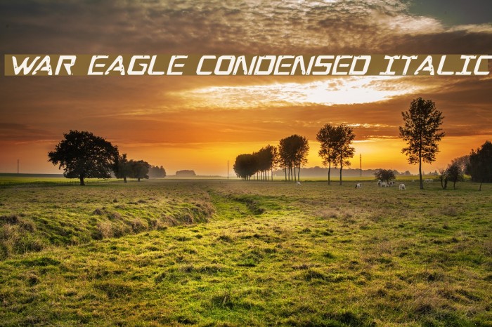 War Eagle Condensed Italic Font examples