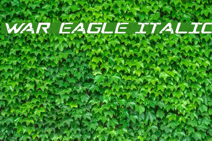War Eagle Italic Font examples