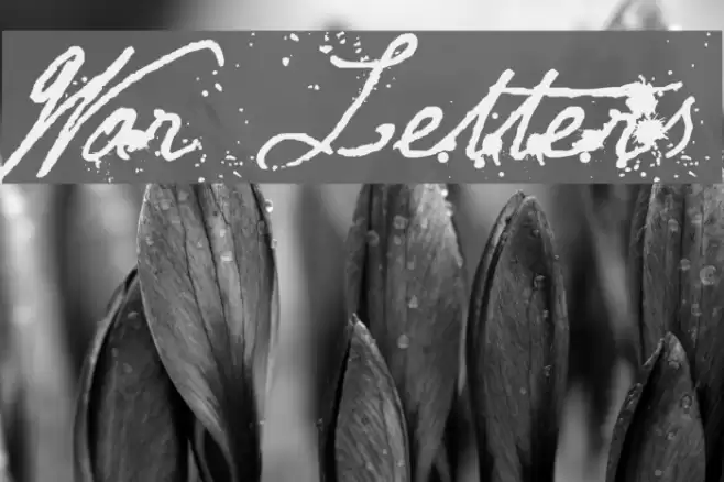 War Letters Font examples