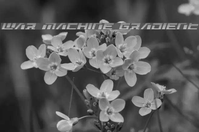 War Machine Gradient Font examples