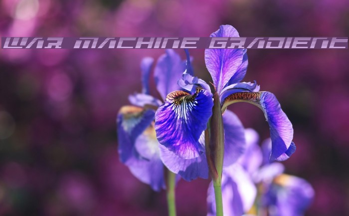 War Machine Gradient Example 3