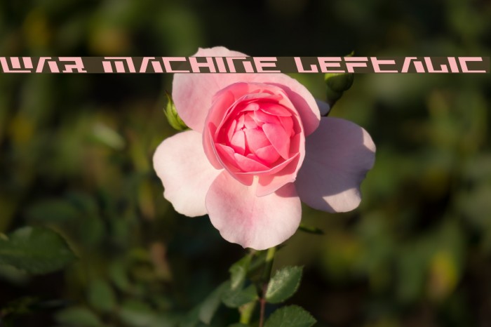 War Machine Leftalic Font examples