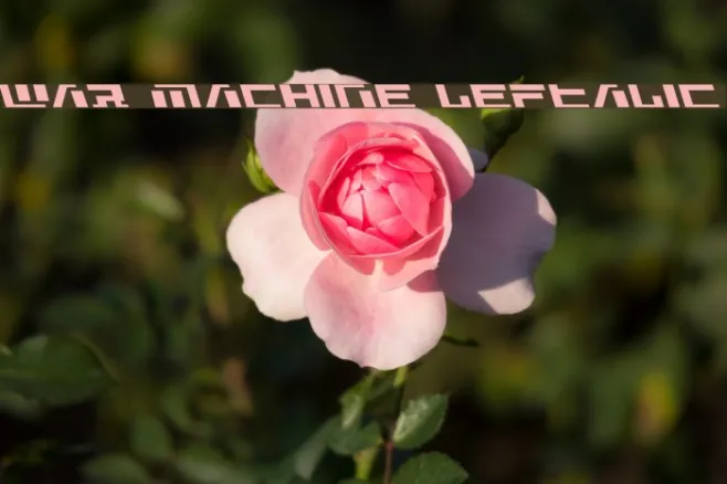 War Machine Leftalic Example 3