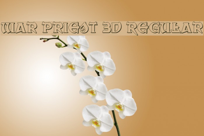 War Priest 3D Regular Example 2