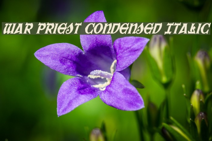 War Priest Condensed Italic Font examples
