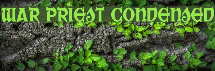 War Priest Condensed Example 2