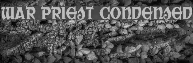 War Priest Condensed Font examples