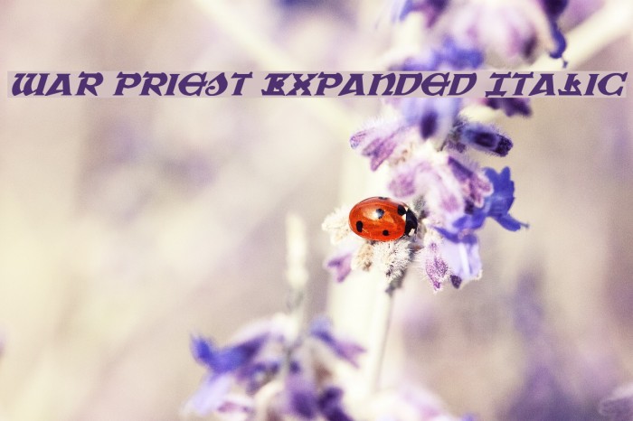 War Priest Expanded Italic Font examples