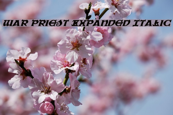 War Priest Expanded Italic Font examples