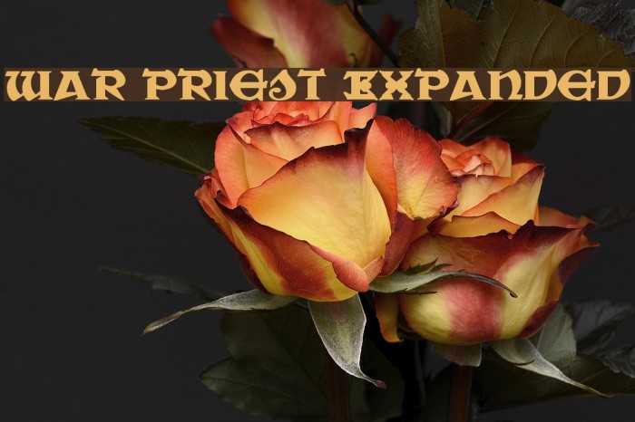 War Priest Expanded Font examples