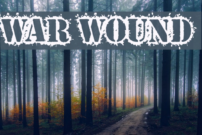 War Wound Font examples