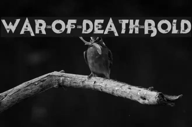 War of Death Bold Font examples