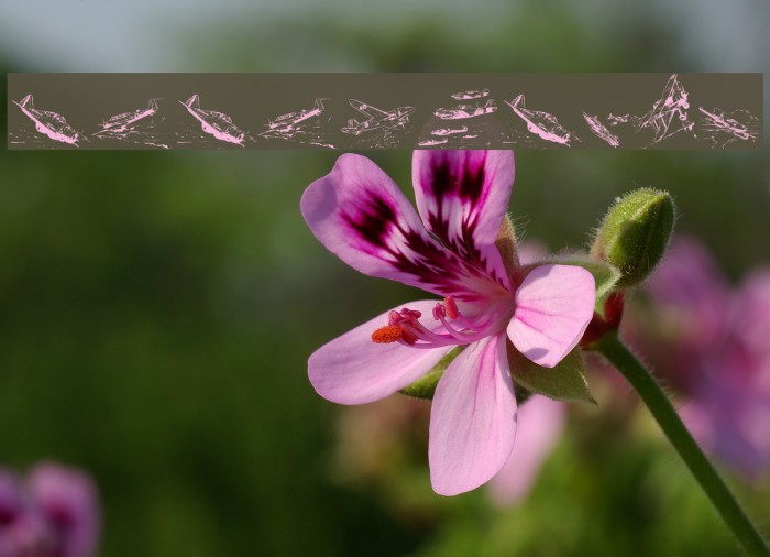 WarIIWarplanes Example 3