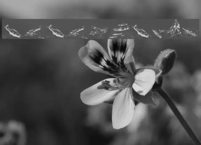 WarIIWarplanes Font examples