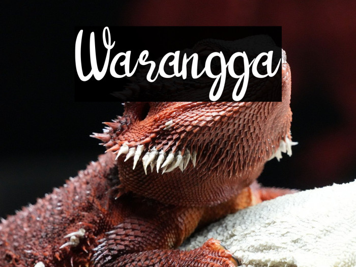Warangga Example 3