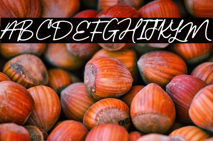 Wardah Rounded Example 3