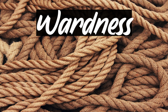 Wardness Example 1