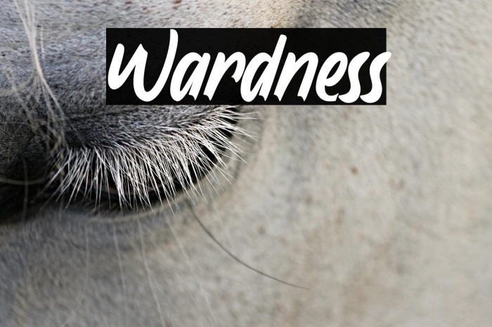 Wardness Example 2