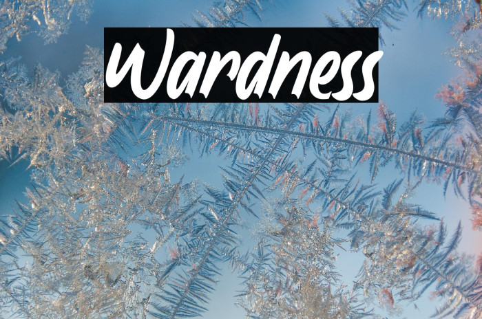 Wardness Example 3
