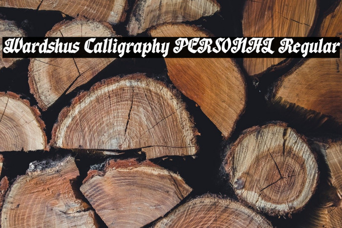 Wardshus Calligraphy PERSONAL Regular Example 1