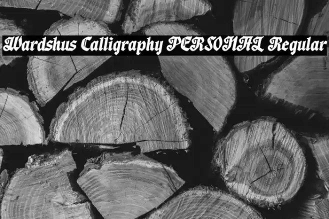 Wardshus Calligraphy PERSONAL Regular Font examples