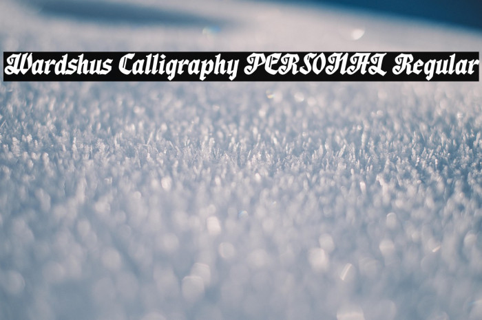 Wardshus Calligraphy PERSONAL Regular Example 3