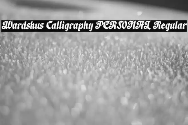 Wardshus Calligraphy PERSONAL Regular Font examples