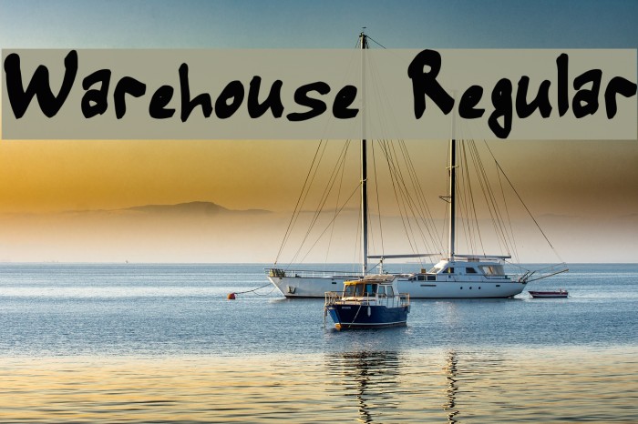 Warehouse Regular Font examples