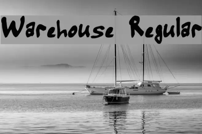 Warehouse Regular Polices examples