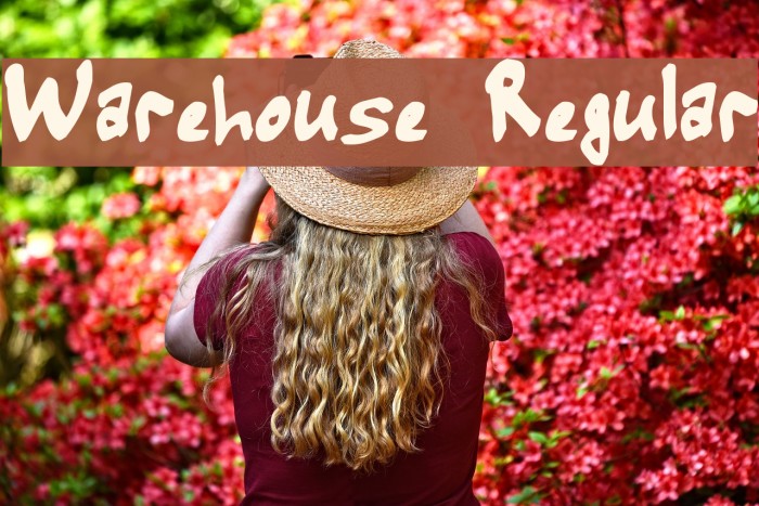 Warehouse Regular Font examples