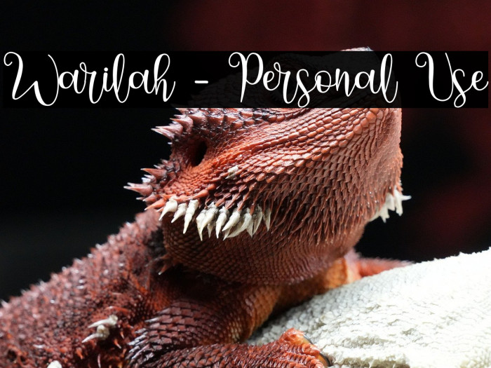 Warilah - Personal Use Example 2