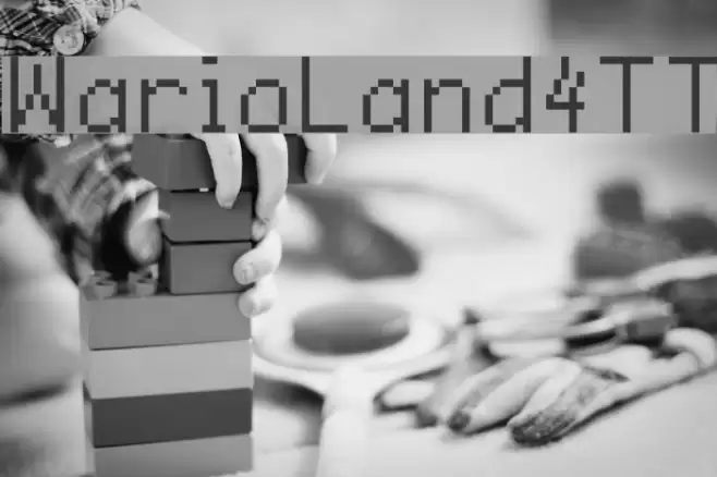 WarioLand4TT Polices examples