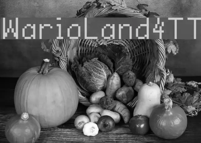 WarioLand4TT Polices examples