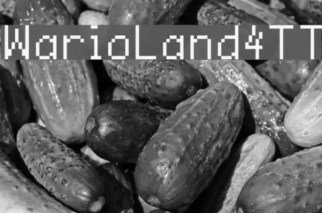 WarioLand4TT Polices examples