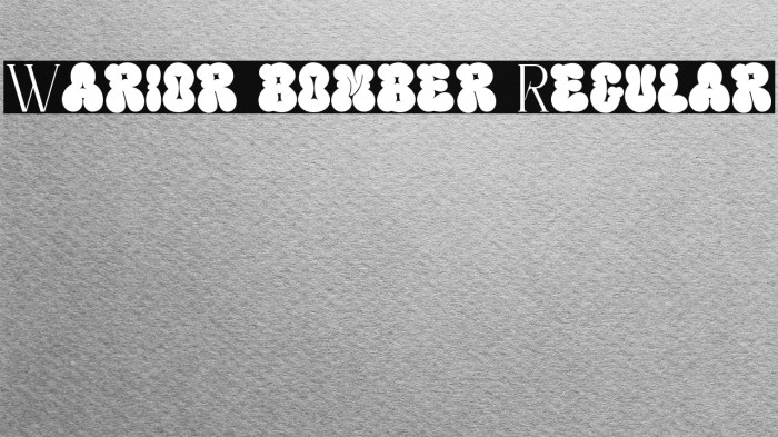 Warior bomber Regular Example 1