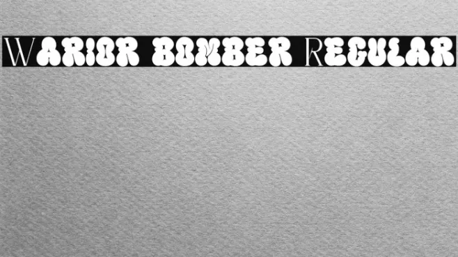 Warior bomber Regular Example 1
