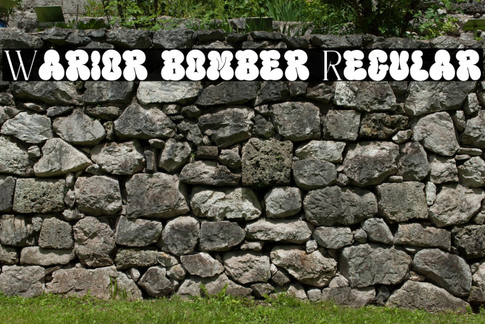 Warior bomber Regular Example 2