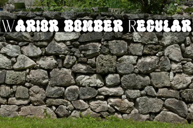 Warior bomber Regular Example 2